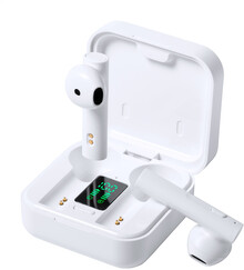 Bezdrtov sluchtka Lappon, bl