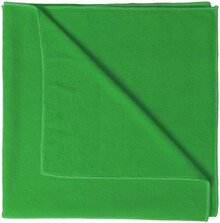 Ru�n�k Evolve, zelen�