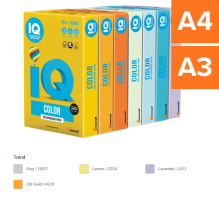 IQ COLOR TRENDY