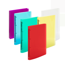Po�ada� Karton PP Lines A4, 2 cm, m�kk� desky, 4 krou�ky, r�zn� barvy